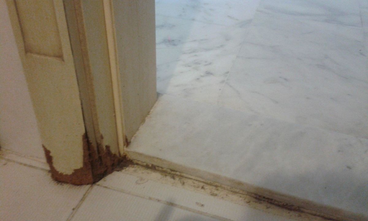 WILGOĆ I GRZYB Larina Resort Spa & Hotel