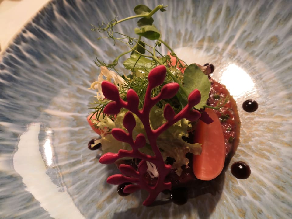 Gastro Hotel Restaurant Rebstock Durbach