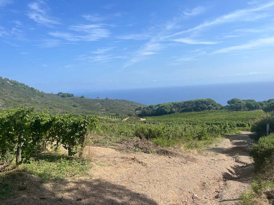 Gartenanlage Hotel Tenuta Delle Ripalte