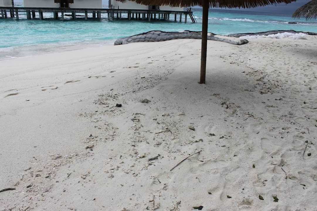 Verschmutzter Strand bei den Wasserbungalows NH Collection Maldives Reethi Resort