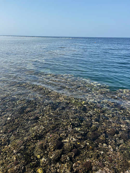 Strand Mövenpick Resort El Quseir