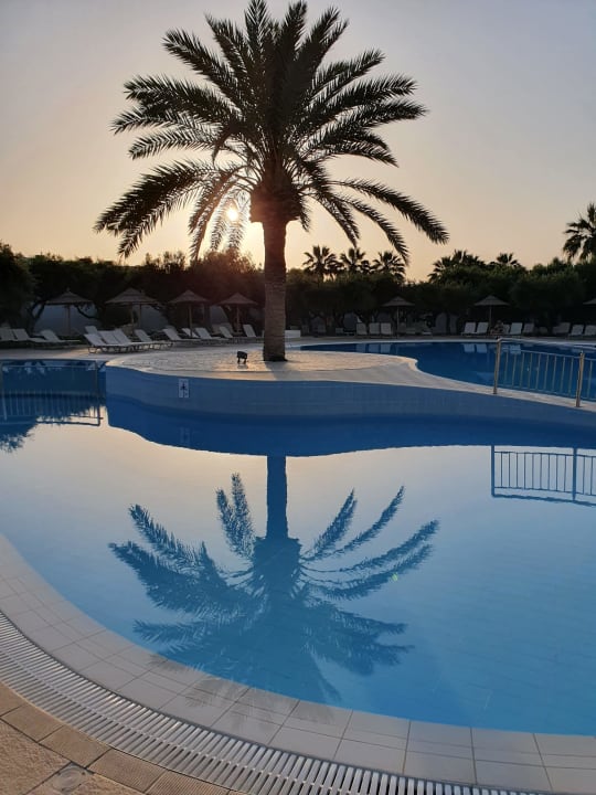 Pool TUI KIDS CLUB Alex Beach