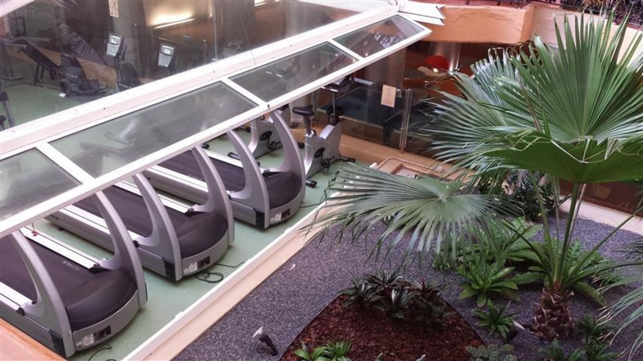 Hotel Dorado Beach Bull Dorado Beach & Spa