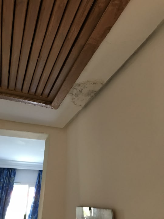 Zimmer Hotel Nesrine