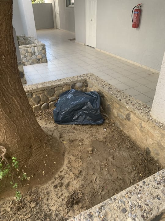 Gartenanlage Evripides Village