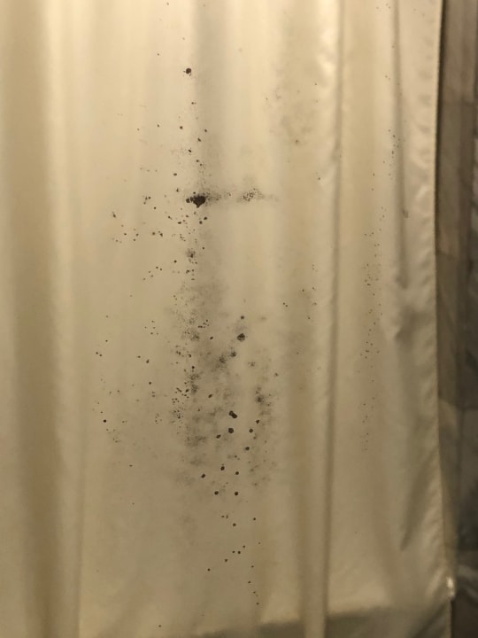 Zimmer Hotel Windsor Suites & Convention