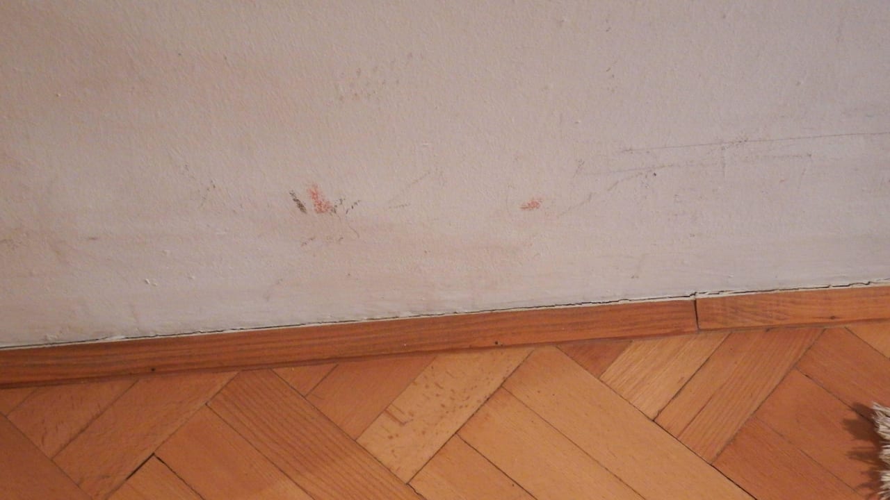 Bemalte Wände Altstadthotel Kasererbräu