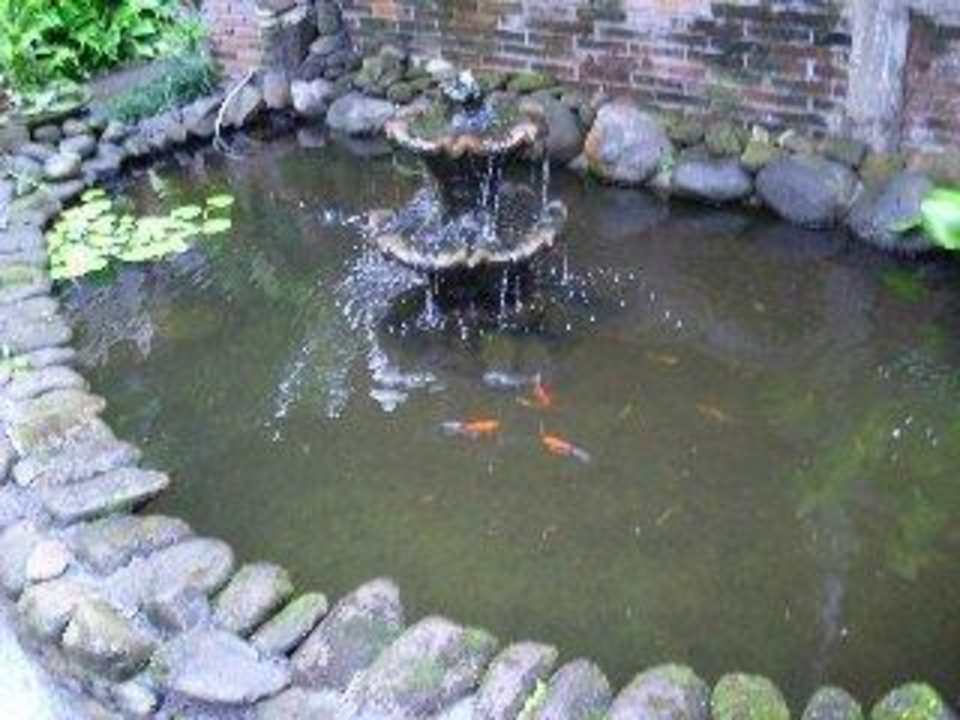 Goldfischteich im Garten Hotel Puri Padi