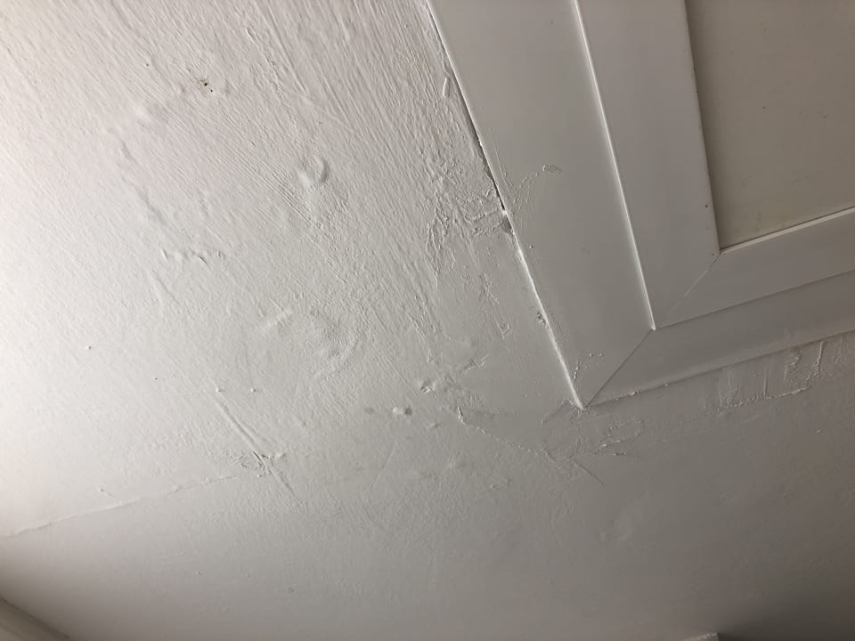 Zimmer Alcudia Garden Aparthotel