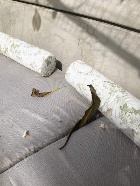 Gartenanlage Ambre Mauritius