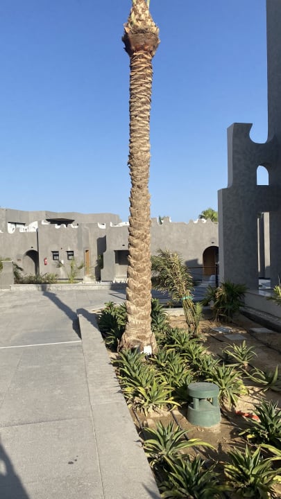 Gartenanlage Sunrise Tucana Resort - Grand Select