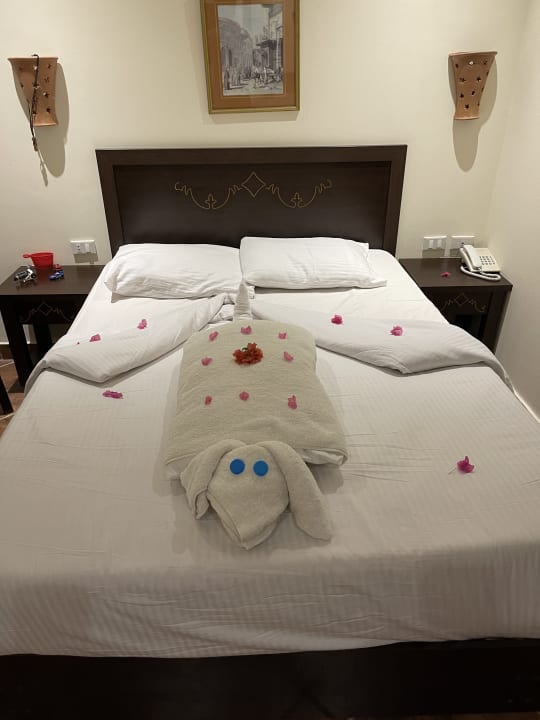 Zimmer Three Corners Sea Beach Resort