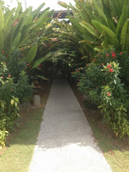 Weg zu einigen Zimmern Sunprime Kamala Beach
