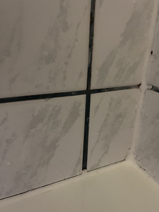 Zimmer NordseeResort Hotel Arche Noah