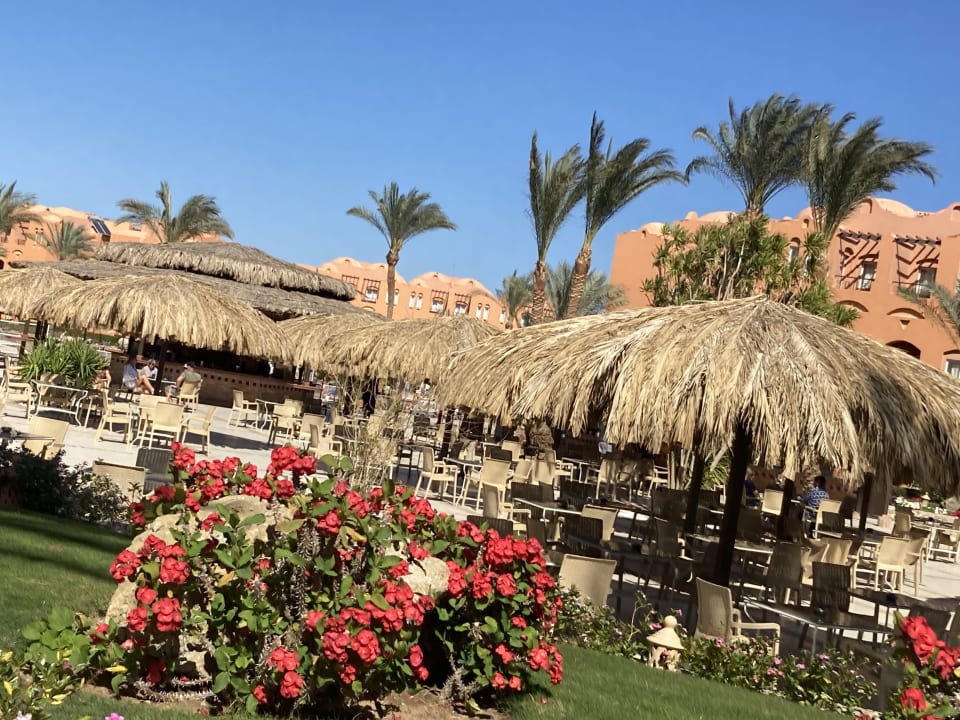 Gastro Jaz Makadi Oasis Resort