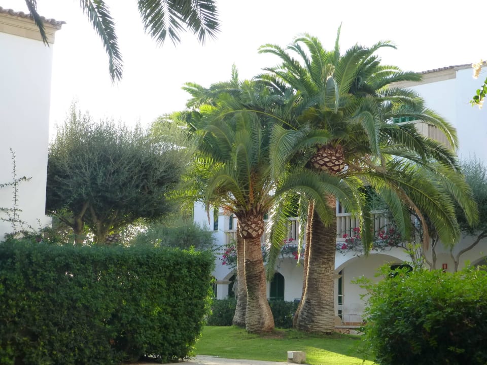 Sehr gepflegt und wunderschön Village Cala Santanyi