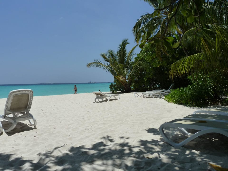 Man kann auch im Schatten braun werden Kuramathi Maldives