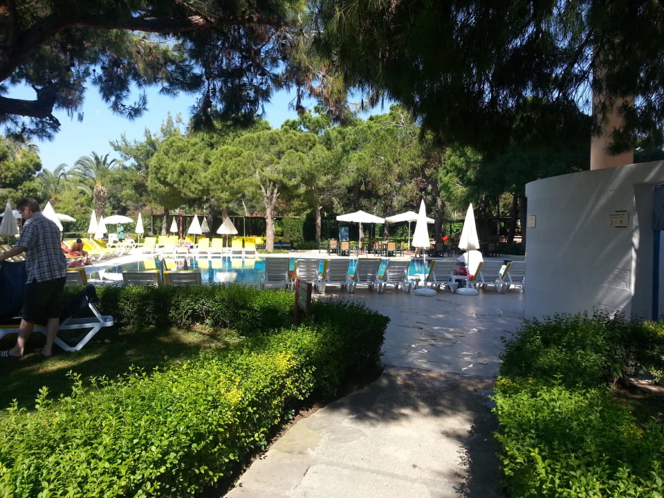 Blick vom Kinderpool Asteria Collection Side