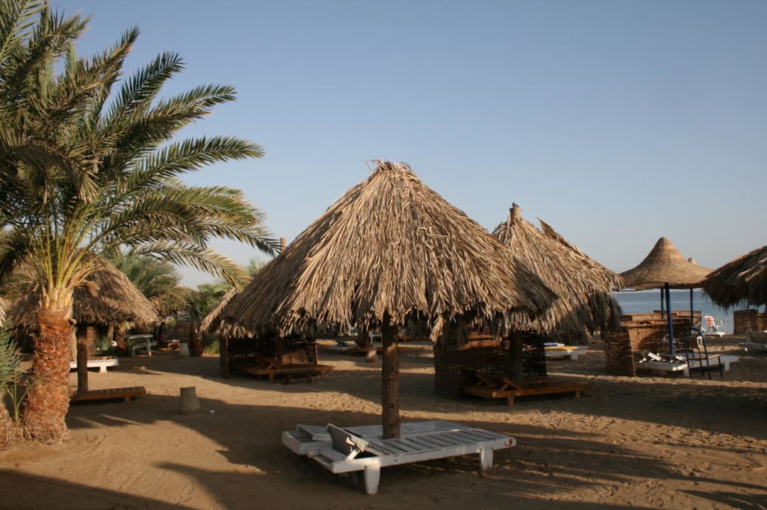 Strandfoto Utopia Beach Club
