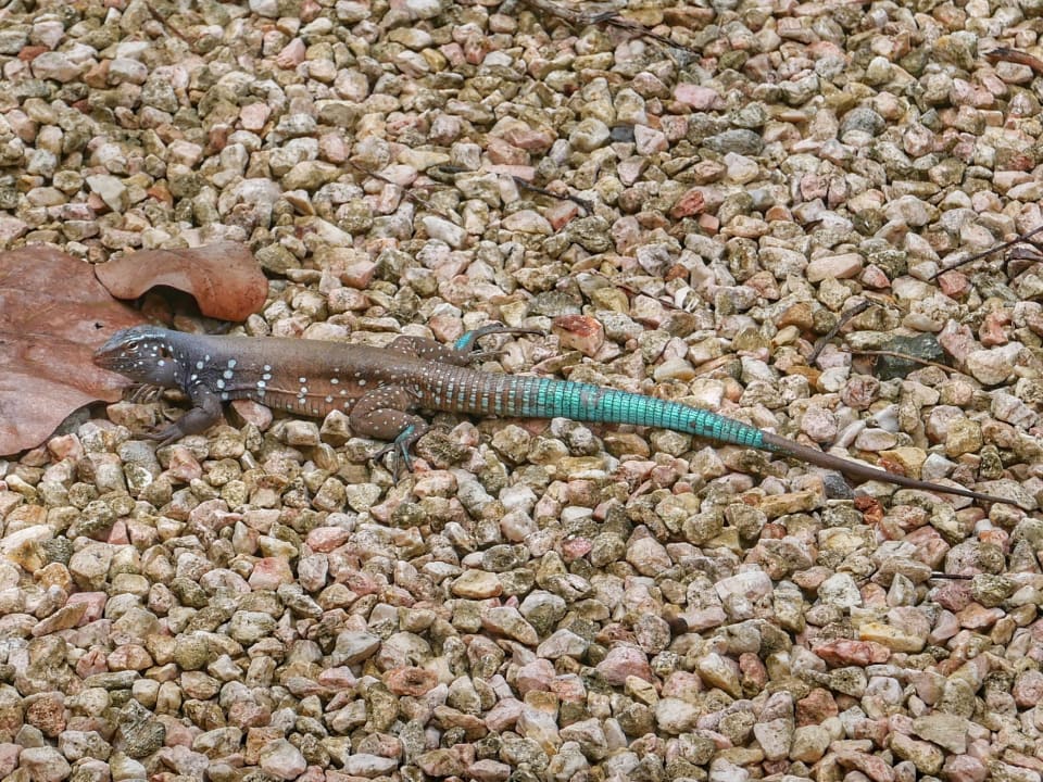 Sonstiges Hotel Hamlet Oasis Resort