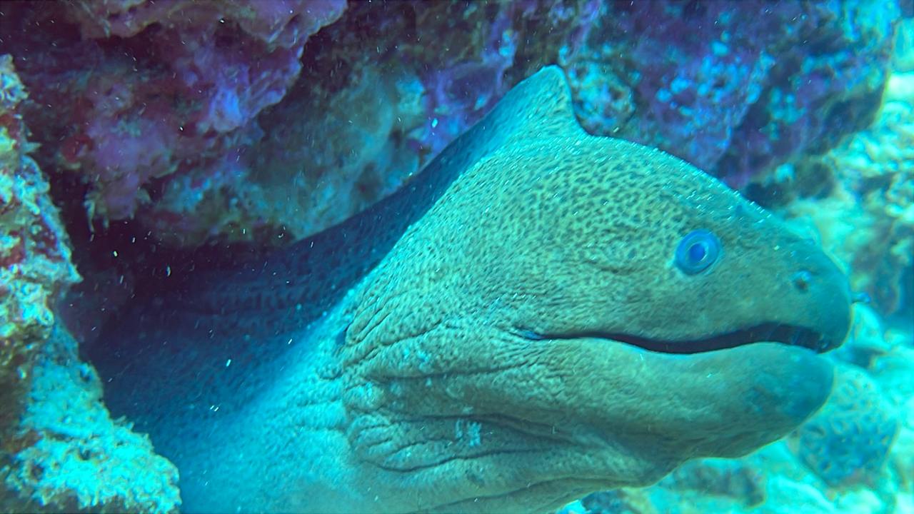 Sport & Freizeit Coral Hills Resorts & SPA