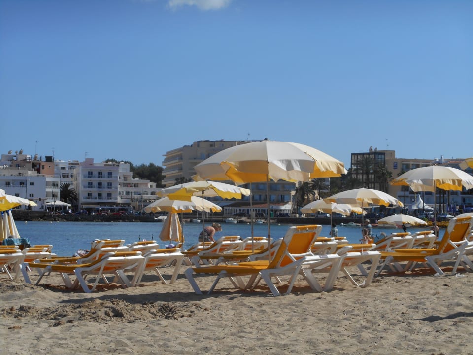 Strand Moon Dreams Coral Beach