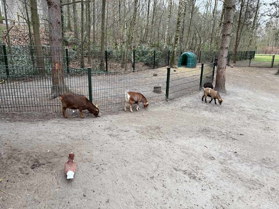 Sport & Freizeit Sunparks Kempense Meren