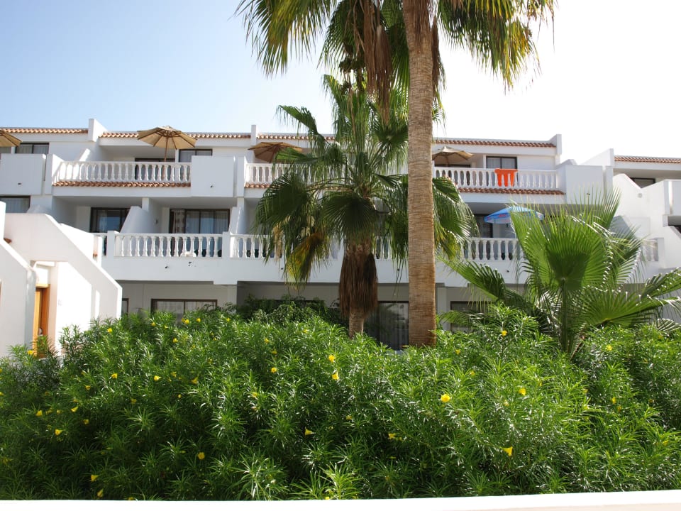 Palmen und Blumen überall allsun Hotel Los Hibiscos