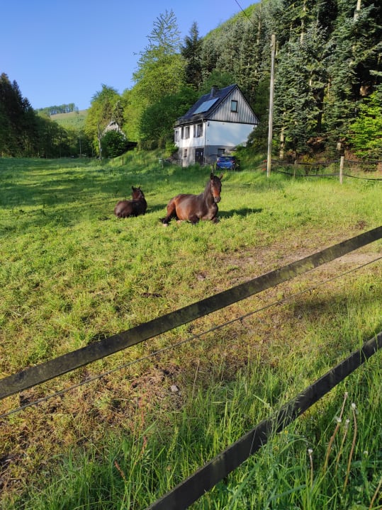 Ausblick Apartmenthotel Haus Berghoff