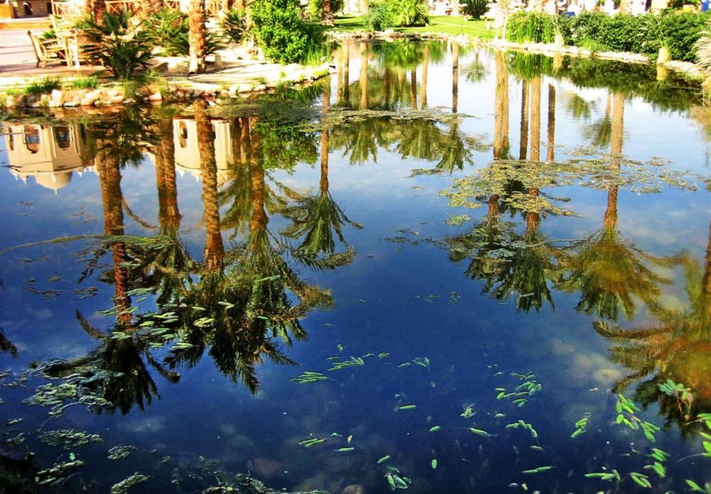 Spiegelung Makadi Palace