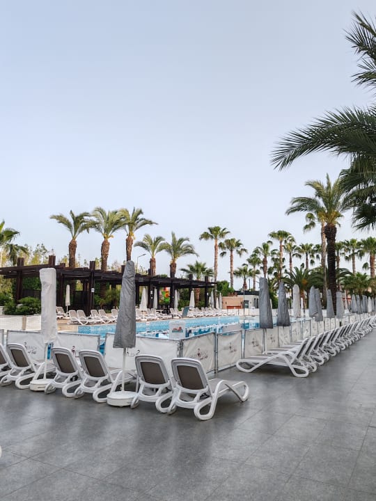 Pool Belek Beach Resort Hotel