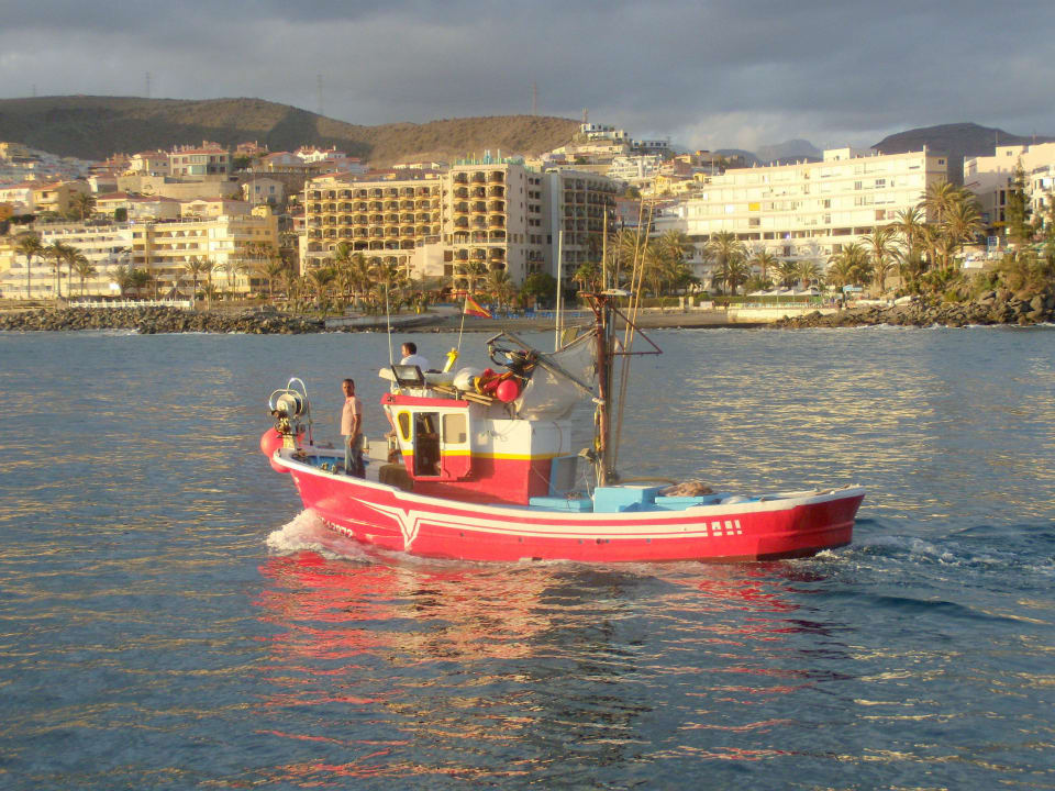 Das Dorado Beach Hotel vom Hafen aus Bull Dorado Beach & Spa