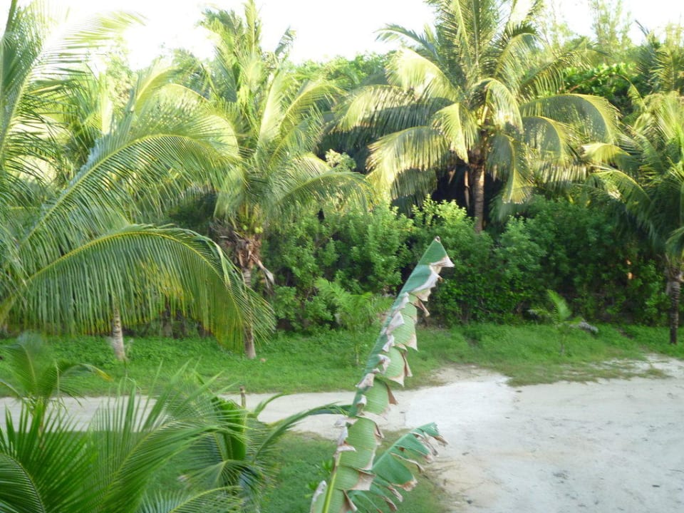Magnifique jardin Akumal Bay Beach & Wellness Resort