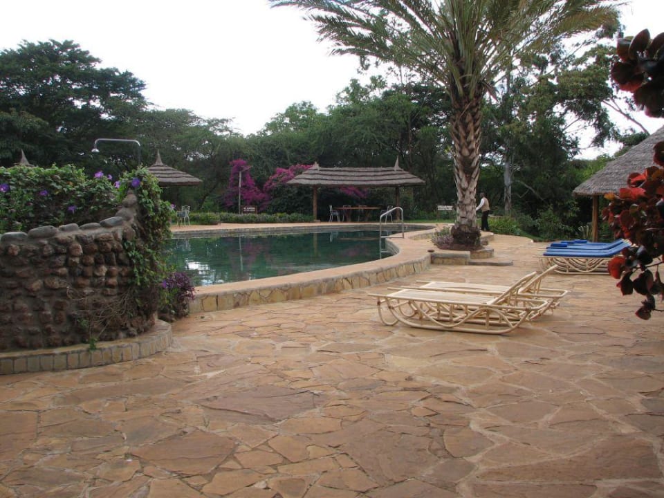 Pool Hotel Amboseli Sopa Lodge