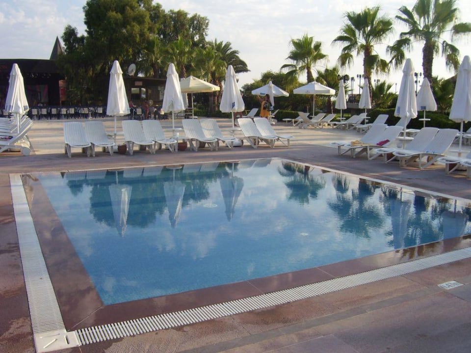 Babybecken am Hauptpool Paloma Oceana