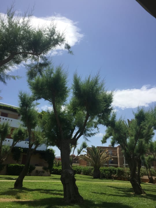 Gartenanlage Anissa Beach & Village