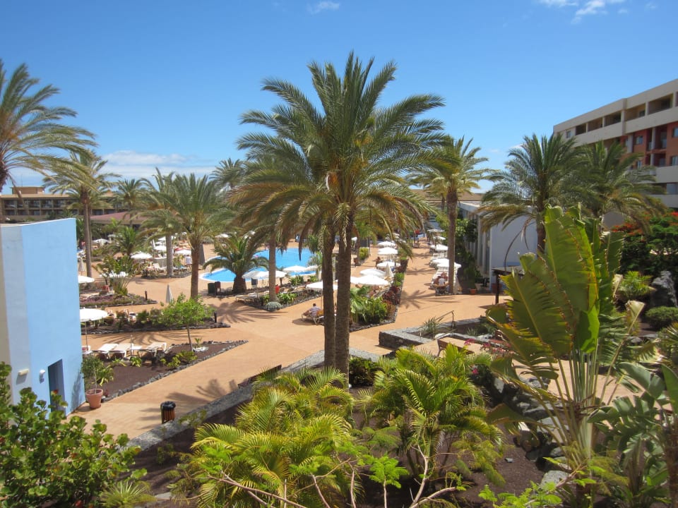 Gartenimpression Iberostar Waves Gaviotas Park