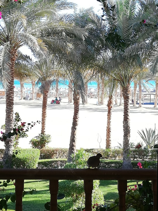 Ausblick Dream Lagoon Resort & Aqua Park