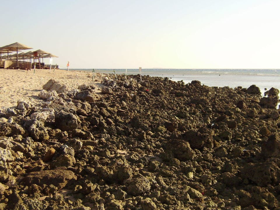 Strand? Grand Makadi