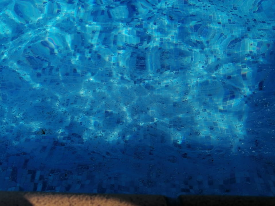 Pool Occidental Jandía Playa