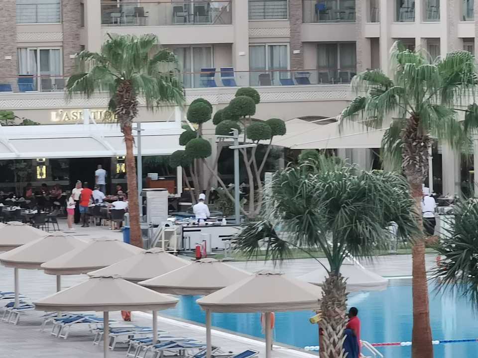 Ausblick Pickalbatros White Beach Resort - Hurghada