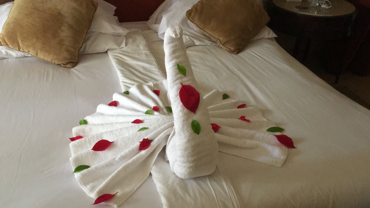Zimmer Hotel JAZ Makadi Star & Spa