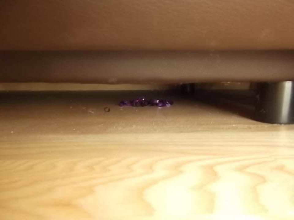 Dreck...überall! Villa Auguste