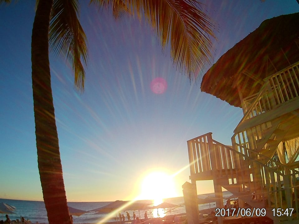 Strand Catalonia Royal La Romana - Adults only