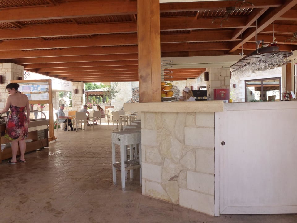 Poolbar Cactus Royal