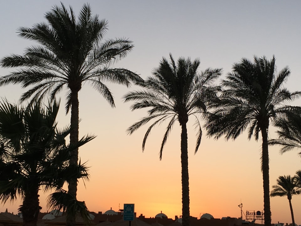 Sonstiges SUNRISE Royal Makadi Resort