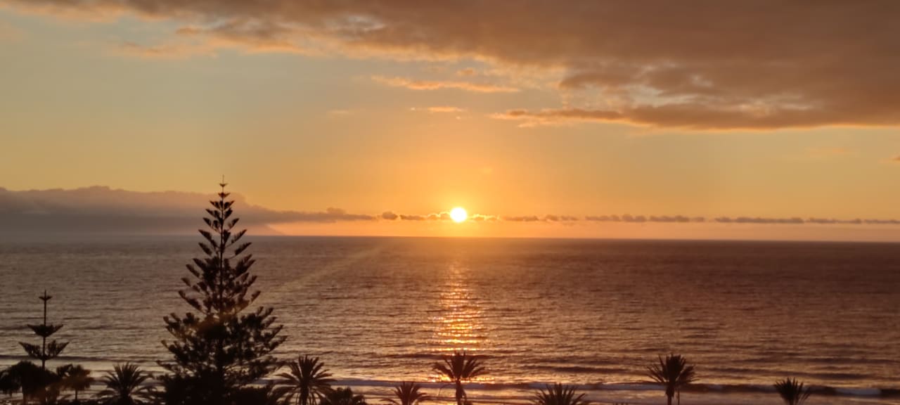 Ausblick H10 Las Palmeras