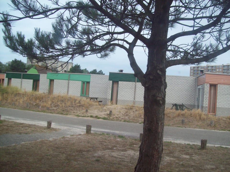 Außenansicht Center Parcs Park Zandvoort - Ferienhäuser