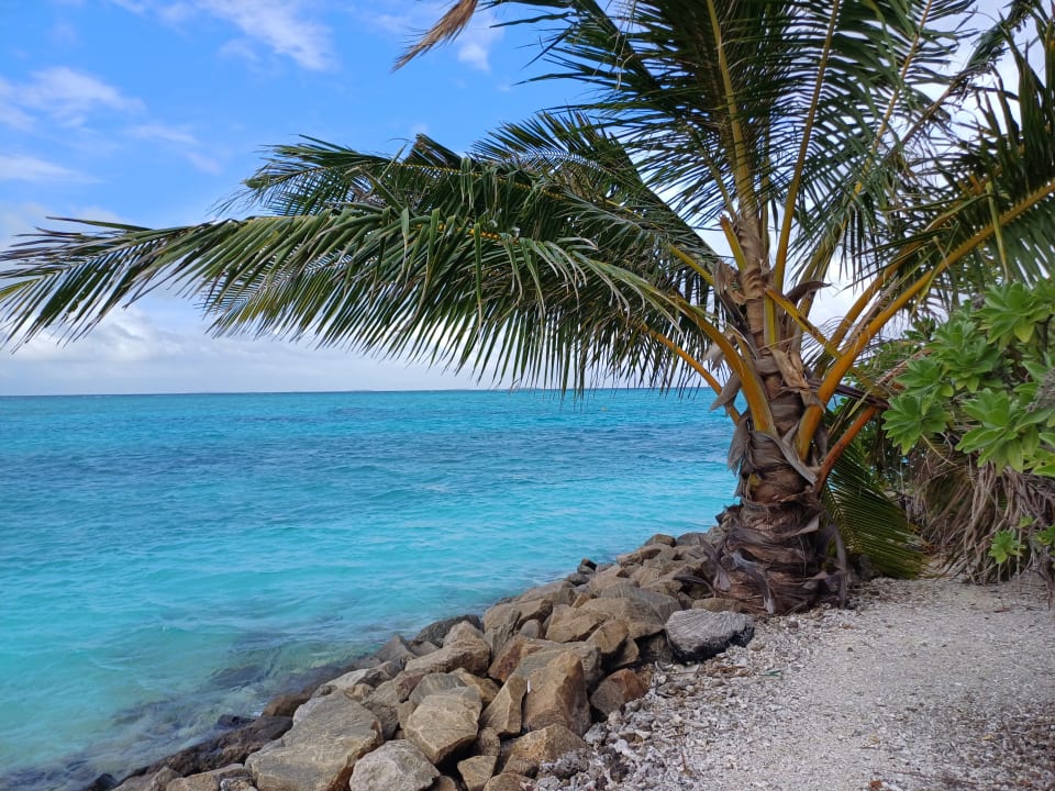 Ausblick Summer Island Maldives