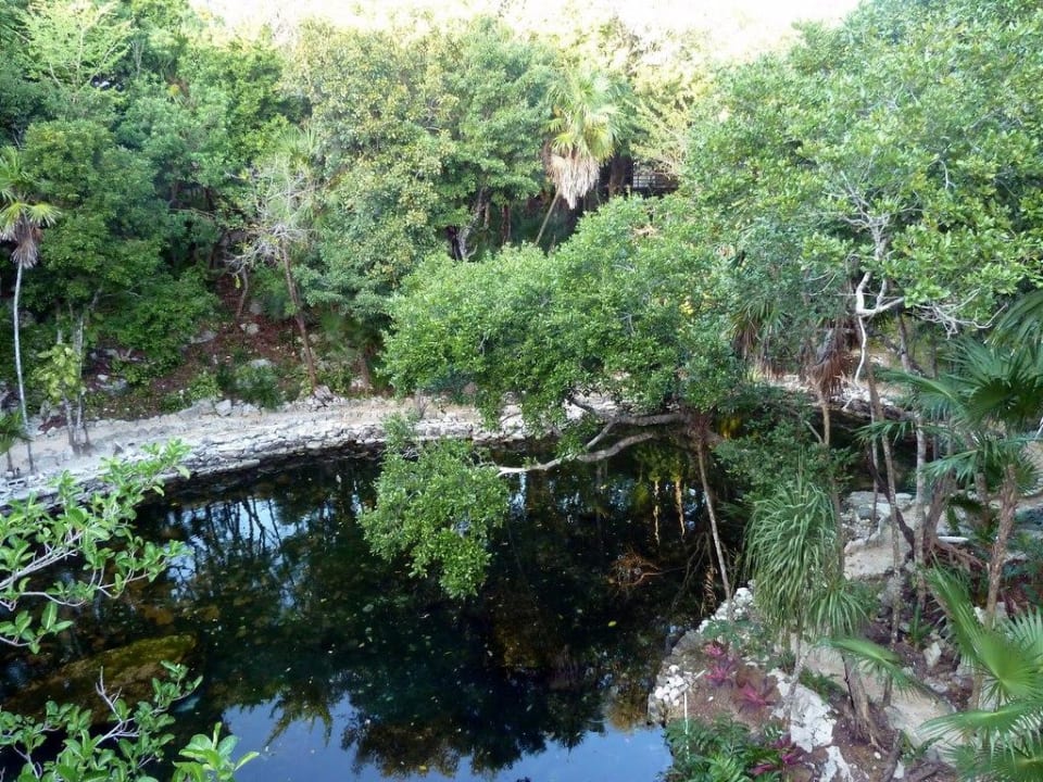 Cenote auf dem Hotelareal Grand Sirenis Riviera Maya Resort & Spa
